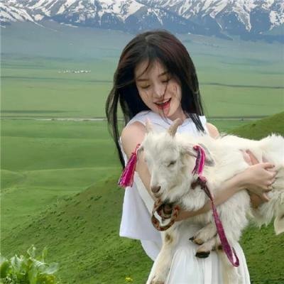 悍妻理论